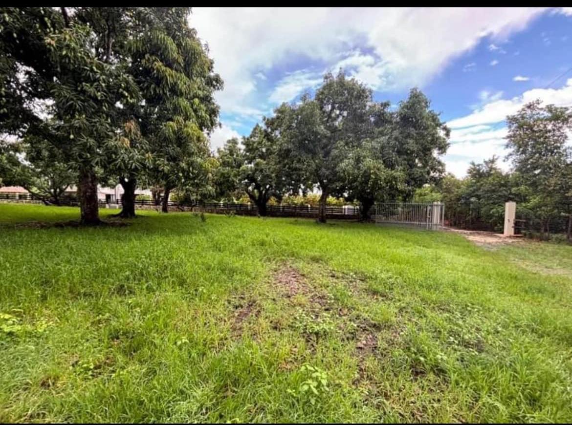 Finca de 210 tareas con vocación Agrícola y Ganadera en Higey  Foto 7278838-3.jpg