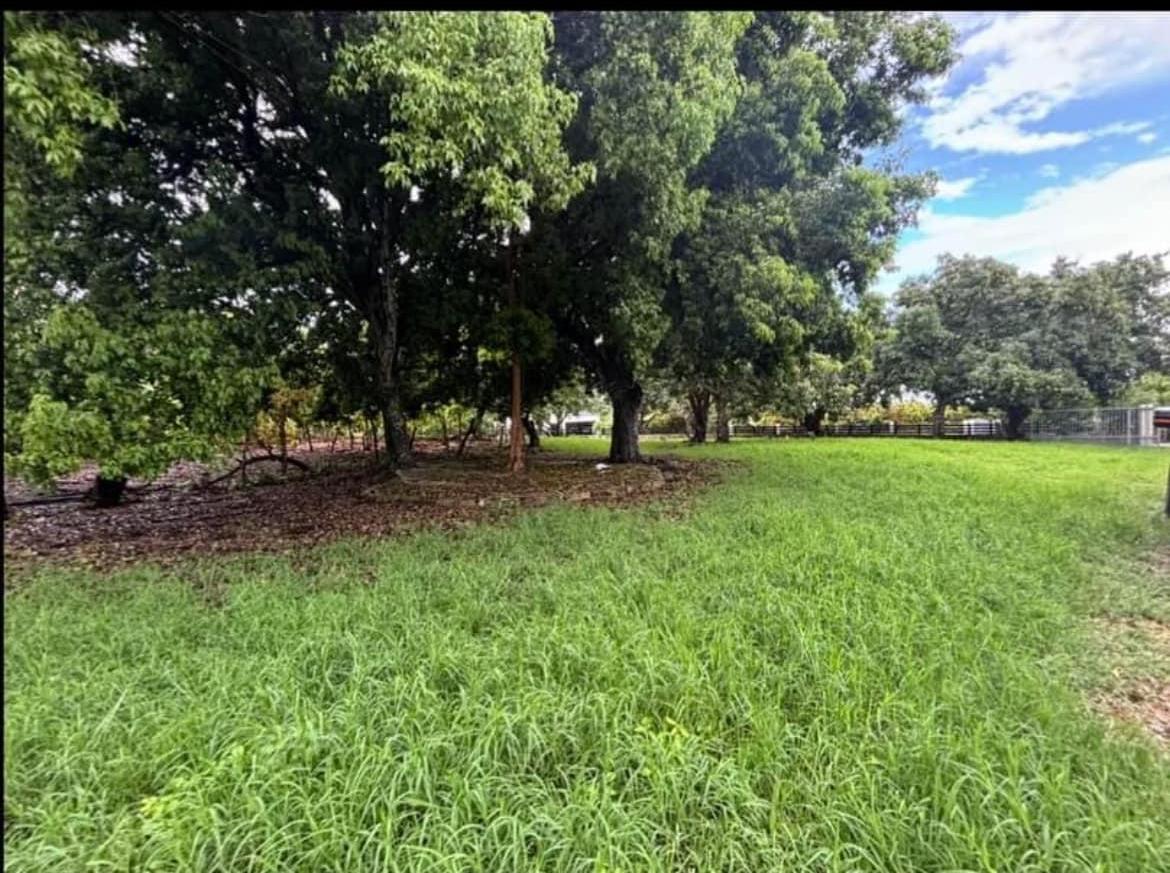 Finca de 210 tareas con vocación Agrícola y Ganadera en Higey  Foto 7278838-5.jpg