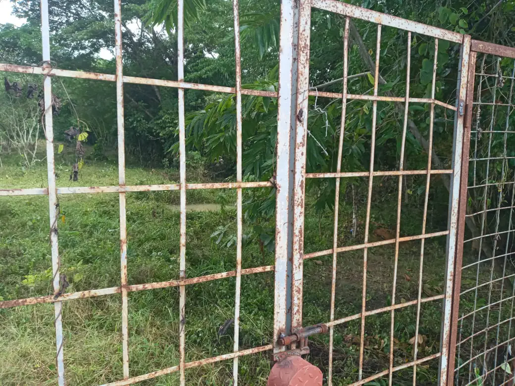 Vendo solar en el Cabreto De San Luis Santo domingo este Foto 7279255-6.jpg