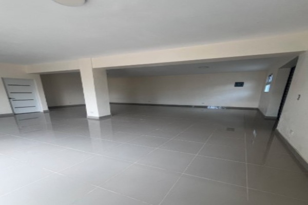 ???? VENTA O RENTA DE LOCAL COMERCIAL – AUTOPISTA DUARTE KM 5 1/2 SANT Foto 7280361-5.jpg