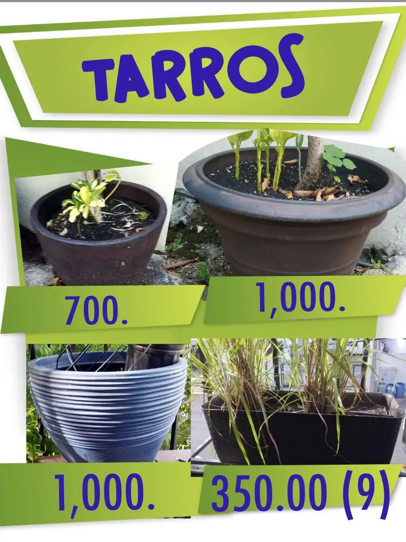 TARROS DIFERENTES PRECIOS VER IMAGEN Foto 7281784-1.jpg