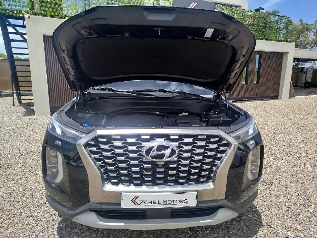 HYUNDAI PALISADE 2019 en La Altagracia Foto 7282388-6.jpg