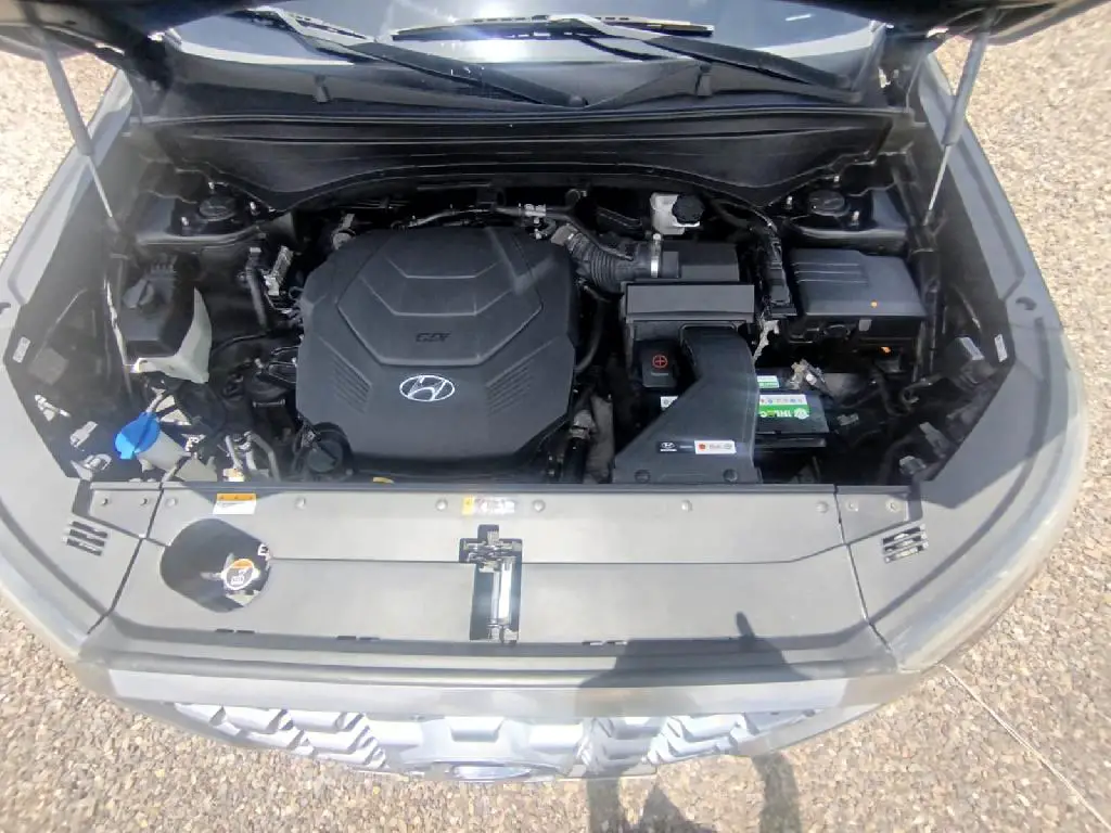 HYUNDAI PALISADE 2019 en La Altagracia Foto 7282388-7.jpg