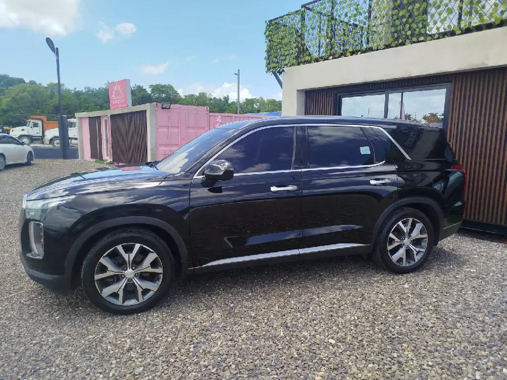 HYUNDAI PALISADE 2019 en La Altagracia Foto 7282388-9.jpg