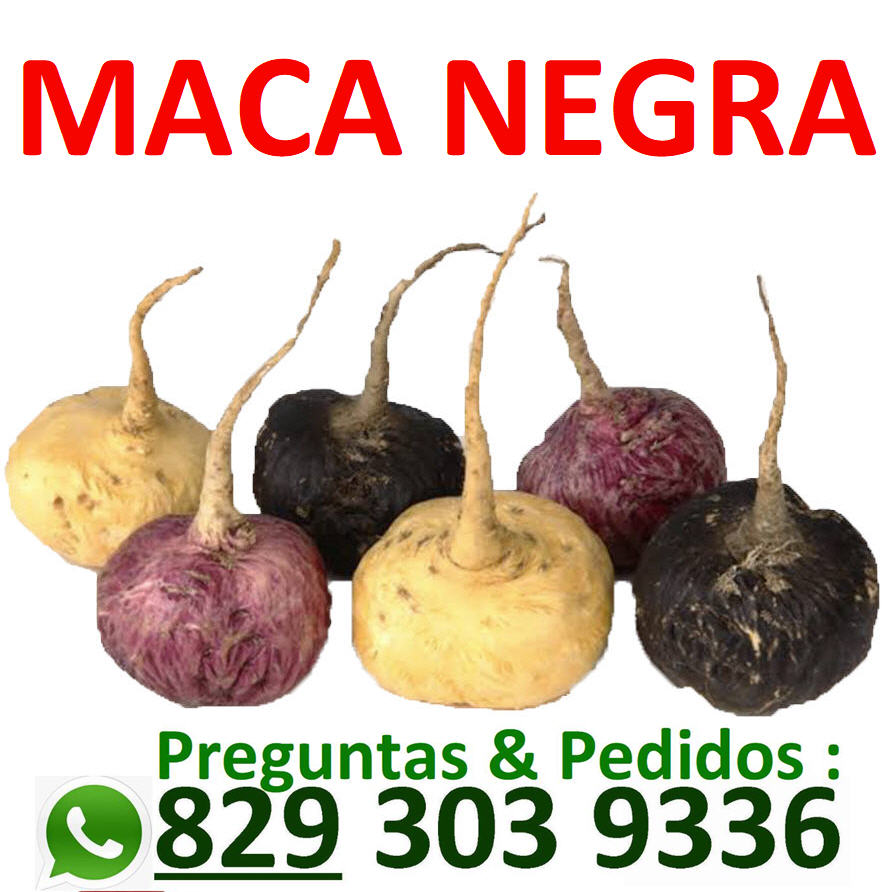 maca roja maca negra maca organica amarilla peruana en Republica Domin Foto 7283993-2.jpg