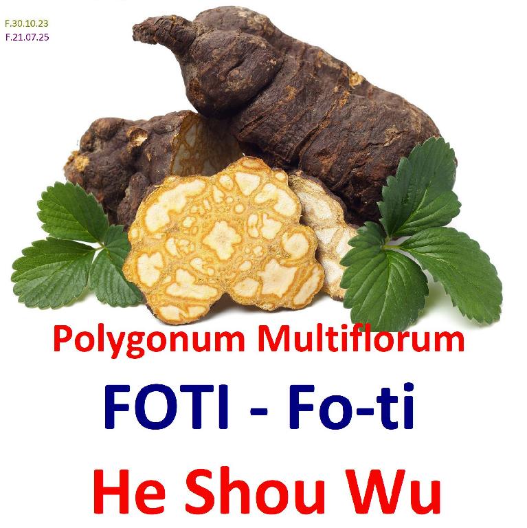 foti fo-ti he shou wu poligonium multiflorun polygonum planta de la me Foto 7284003-1.jpg