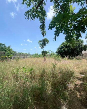 ???? EN VENTA – Solar Residencial en Brisas del Valle Las Charcas Sant Foto 7284201-1.jpg