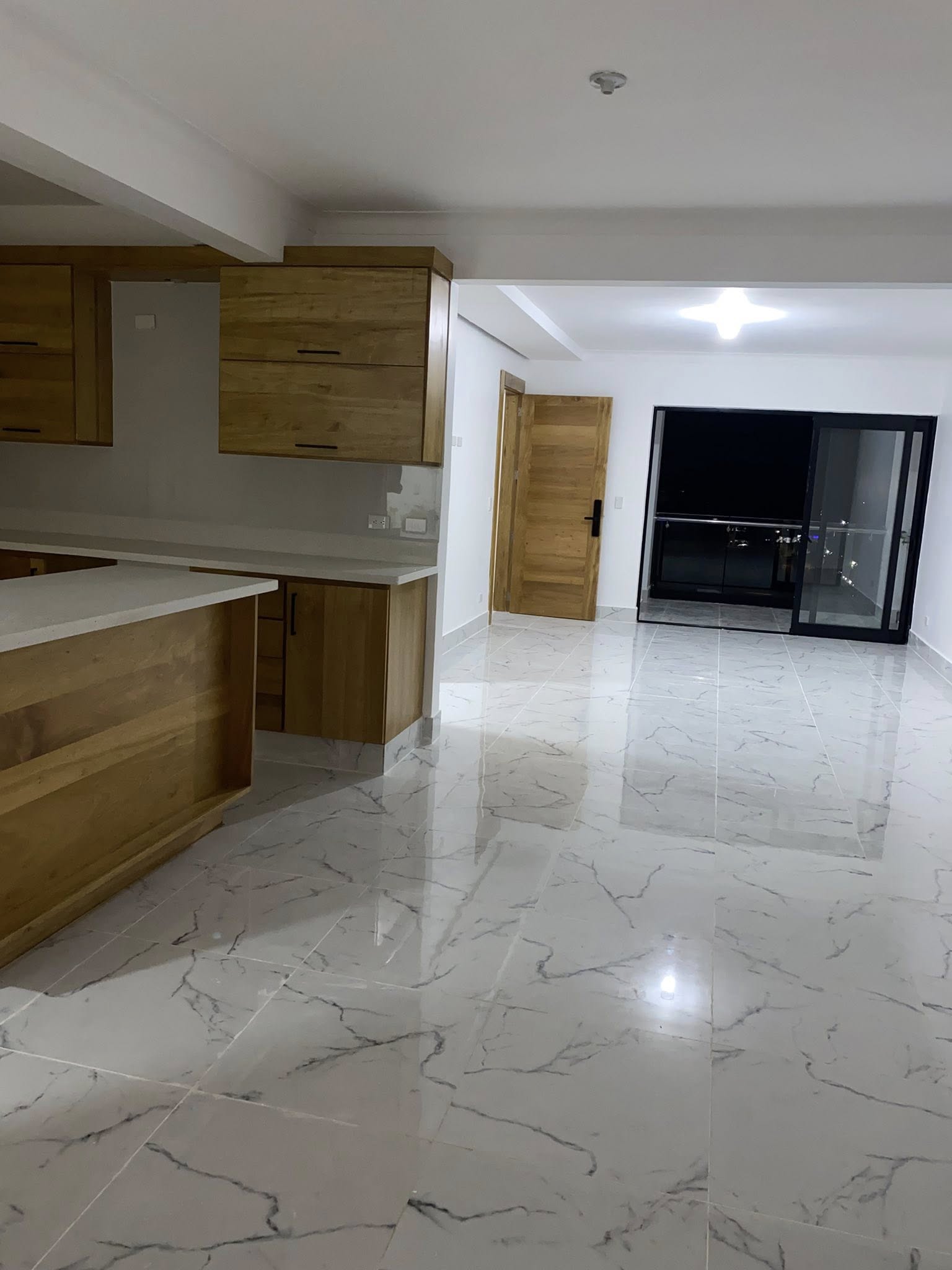 VPI-A 2025-0079 Rento apartamento Urbanización Thomen Santiago Repúbli Foto 7284469-4.jpg