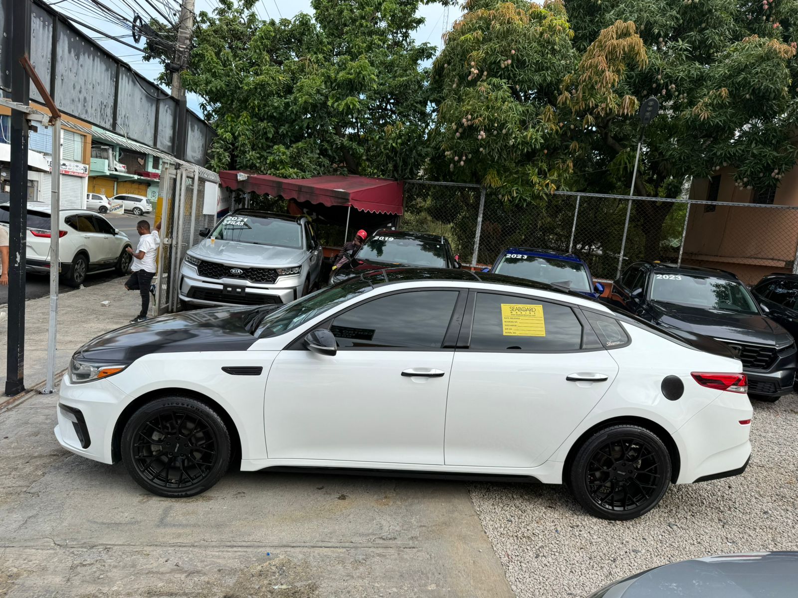 KIA OPTIMA S 2019 Foto 7284776-4.jpg