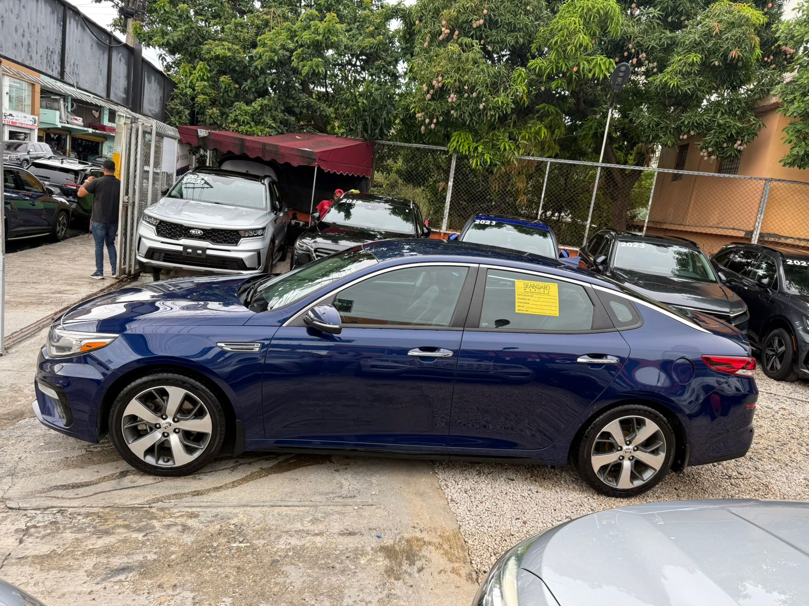 KIA OPTIMA 2019 Foto 7284779-4.jpg