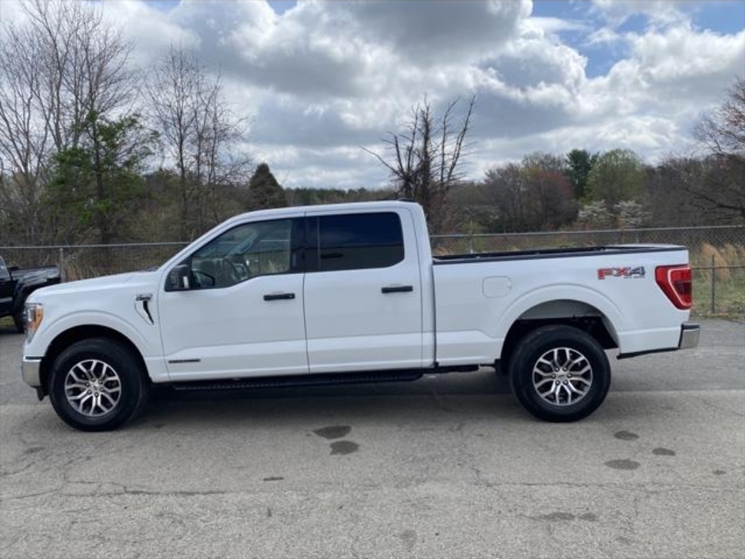 2021 Ford f150  Foto 7285216-4.jpg