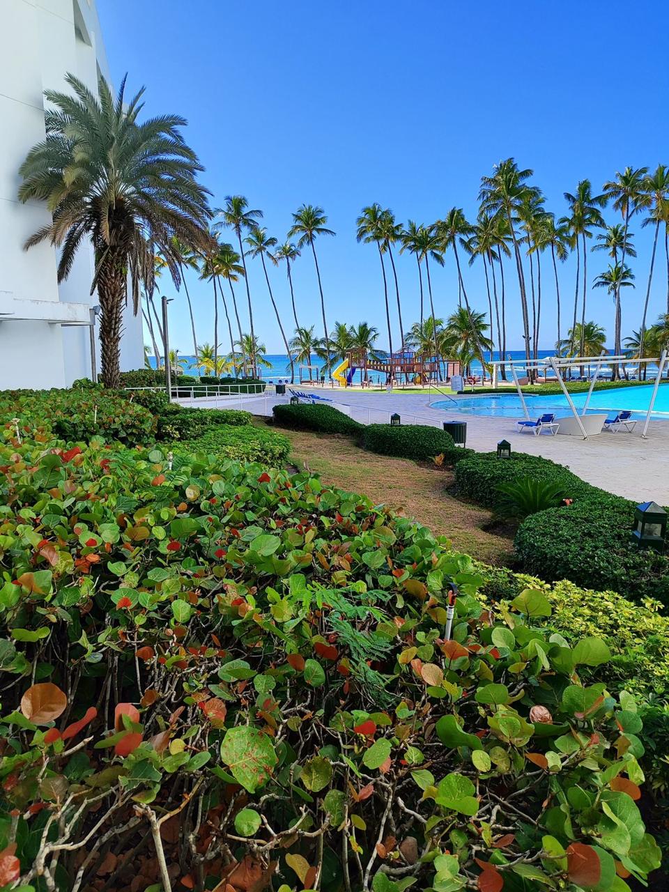 Apartamento en Venta en Juan Dolio. Foto 7286013-3.jpg