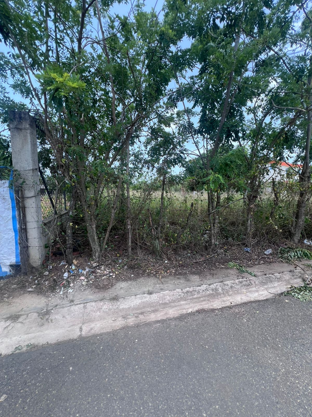VENTA DE SOLARES EN BRISAS DEL VALLE EN LAS CHARCAS Foto 7286211-4.jpg