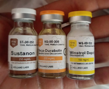 Sustanon Deca Durabolinstanozol win Foto 7286492-1.jpg