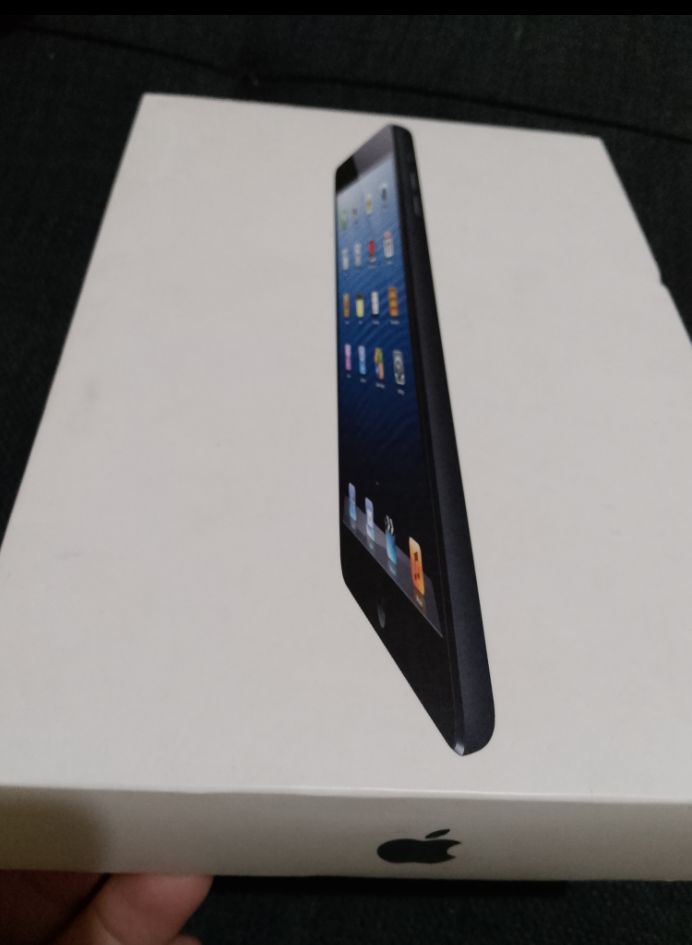 iPad mini 1ra generacion Foto 7286608-3.jpg