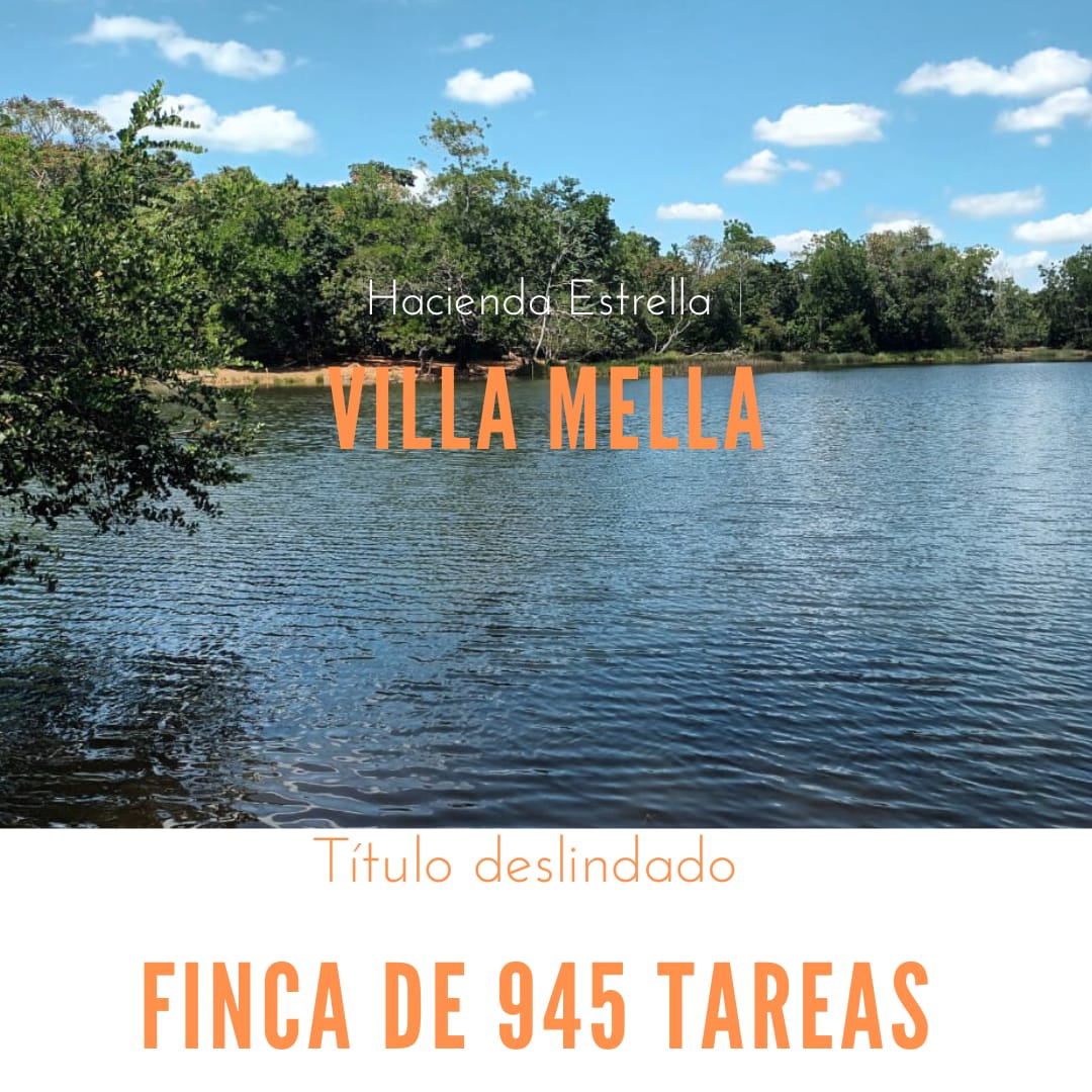 Finca de 945 tareas con vocación agrícola y ganadera en Hacienda Estre Foto 7286714-1.jpg