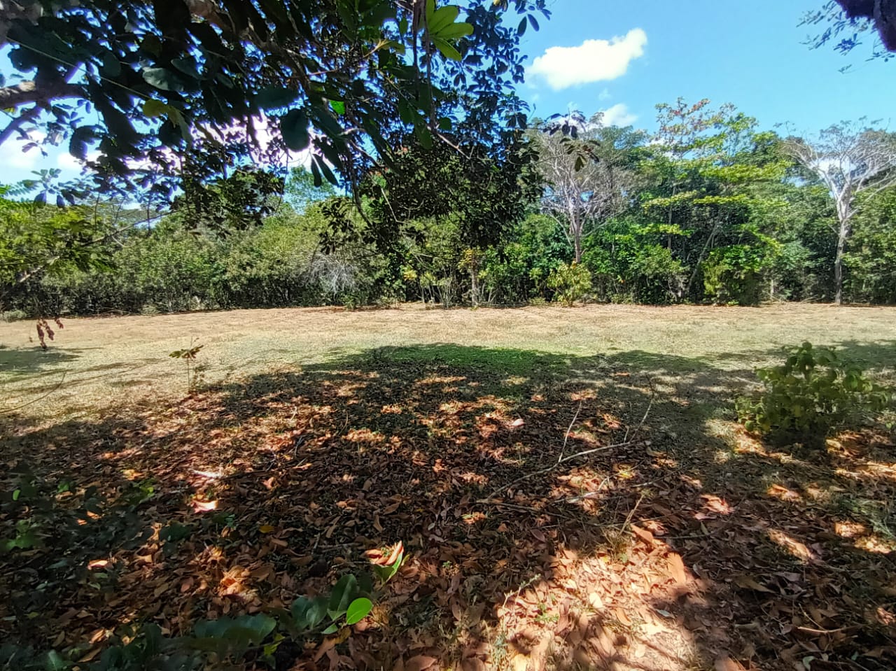 Finca de 945 tareas con vocación agrícola y ganadera en Hacienda Estre Foto 7286714-6.jpg