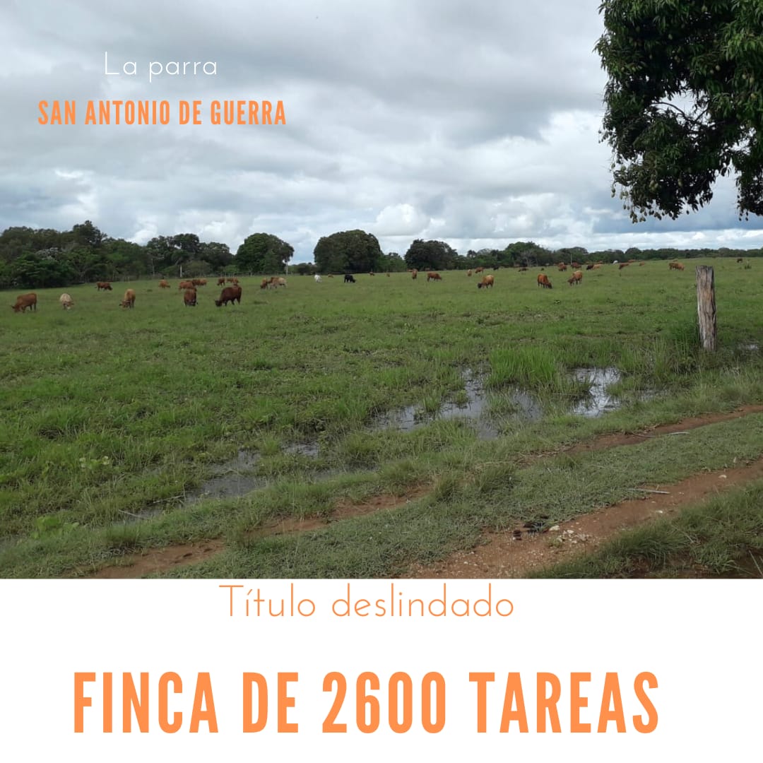 Finca de 2600 tareas con vocación ganadera y agrícola en San Antonio d Foto 7286735-1.jpg