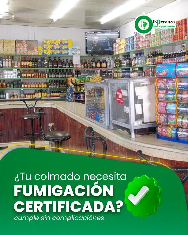 Fumigación en Colmado minimarket  Bodegas Foto 7287230-1.jpg