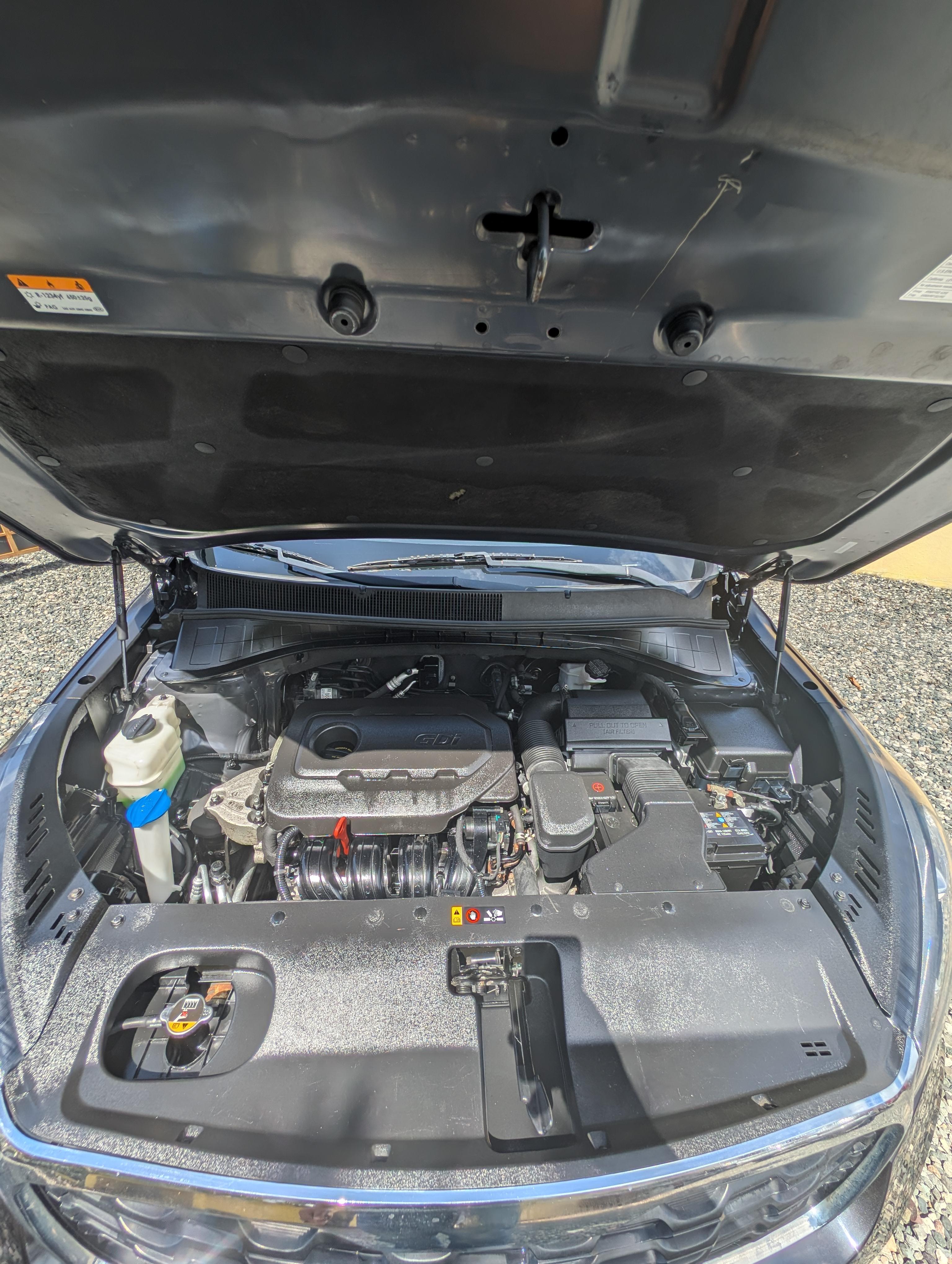 Kia Sorento 2019 Foto 7287558-8.jpg