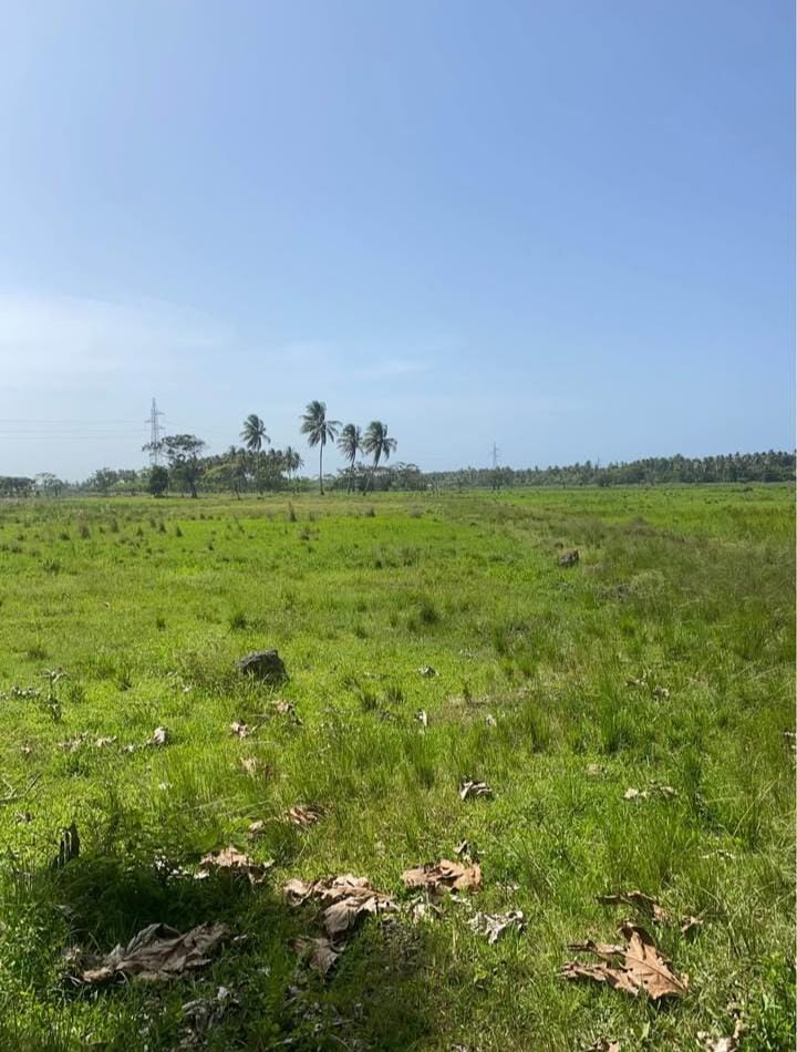 Finca en los yayales de Nagua barata título deslindado a 68 por tarea Foto 7287719-13.jpg