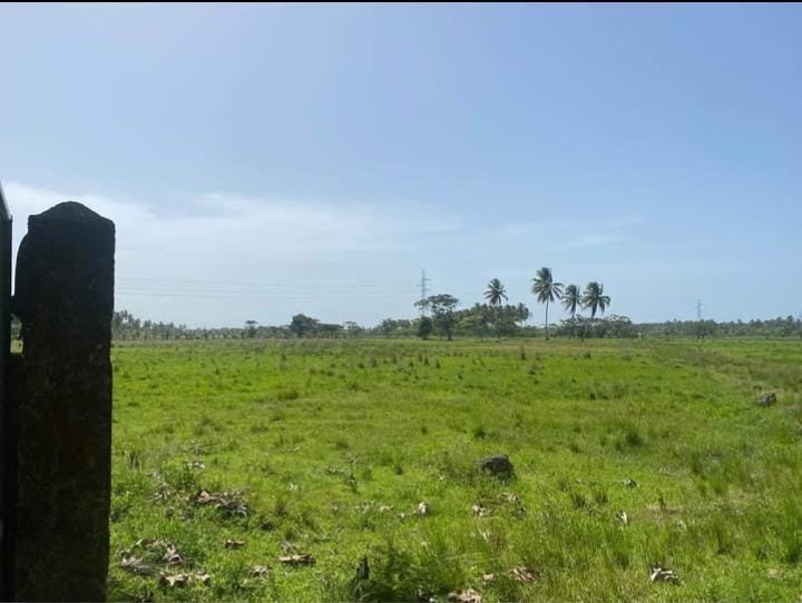 Finca en los yayales de Nagua barata título deslindado a 68 por tarea Foto 7287719-14.jpg