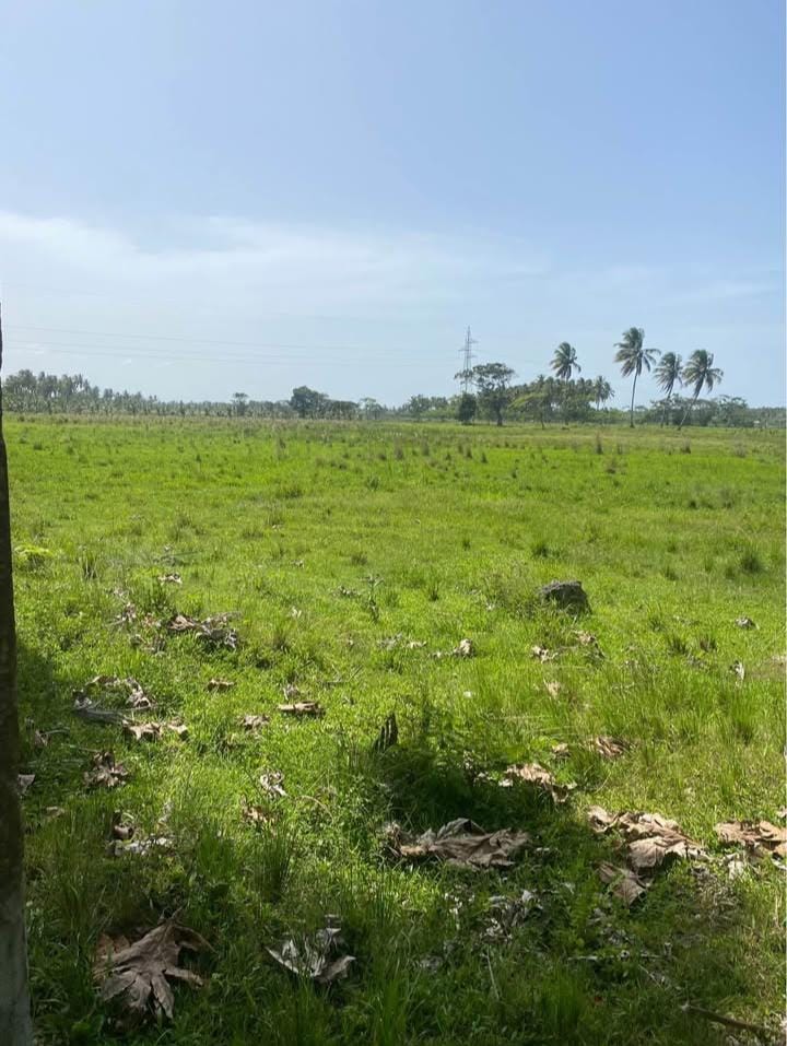 Finca en los yayales de Nagua barata título deslindado a 68 por tarea Foto 7287719-15.jpg