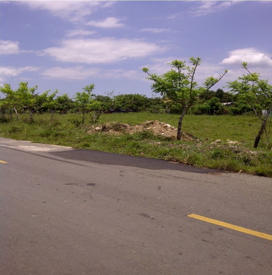 VENDOTERRENO DE 1000 MT2 FRENTE AL POLGONO INDUSTRIAL HATO NUEVO SERVI Foto 7287721-4.jpg