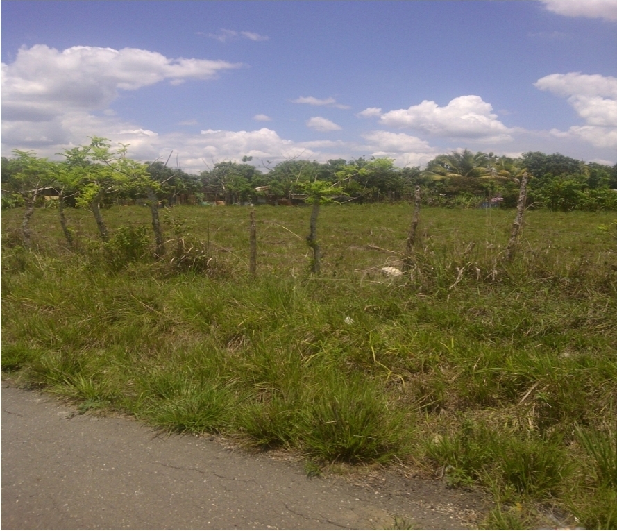 VENDO TERRENO DE 1500 MT2 FRENTE AL POLGONO INDUSTRIAL HATO NUEVO SERV Foto 7287722-2.jpg