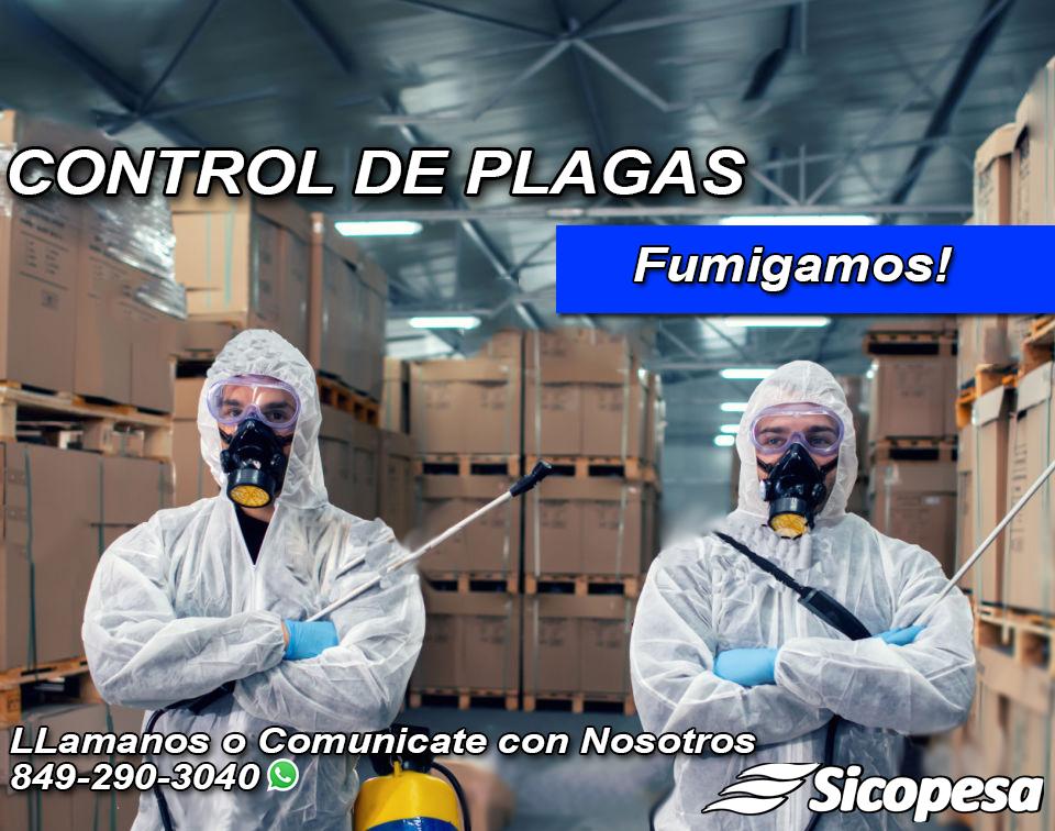 Control de Plagas - Servicio Fumigación Residencial y Comercial Foto 7287728-1.jpg