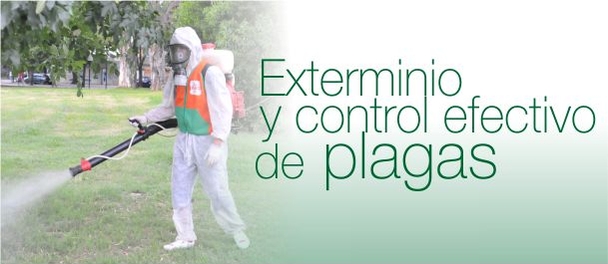 Control de Plagas - Servicio Fumigación Residencial y Comercial Foto 7287728-3.jpg