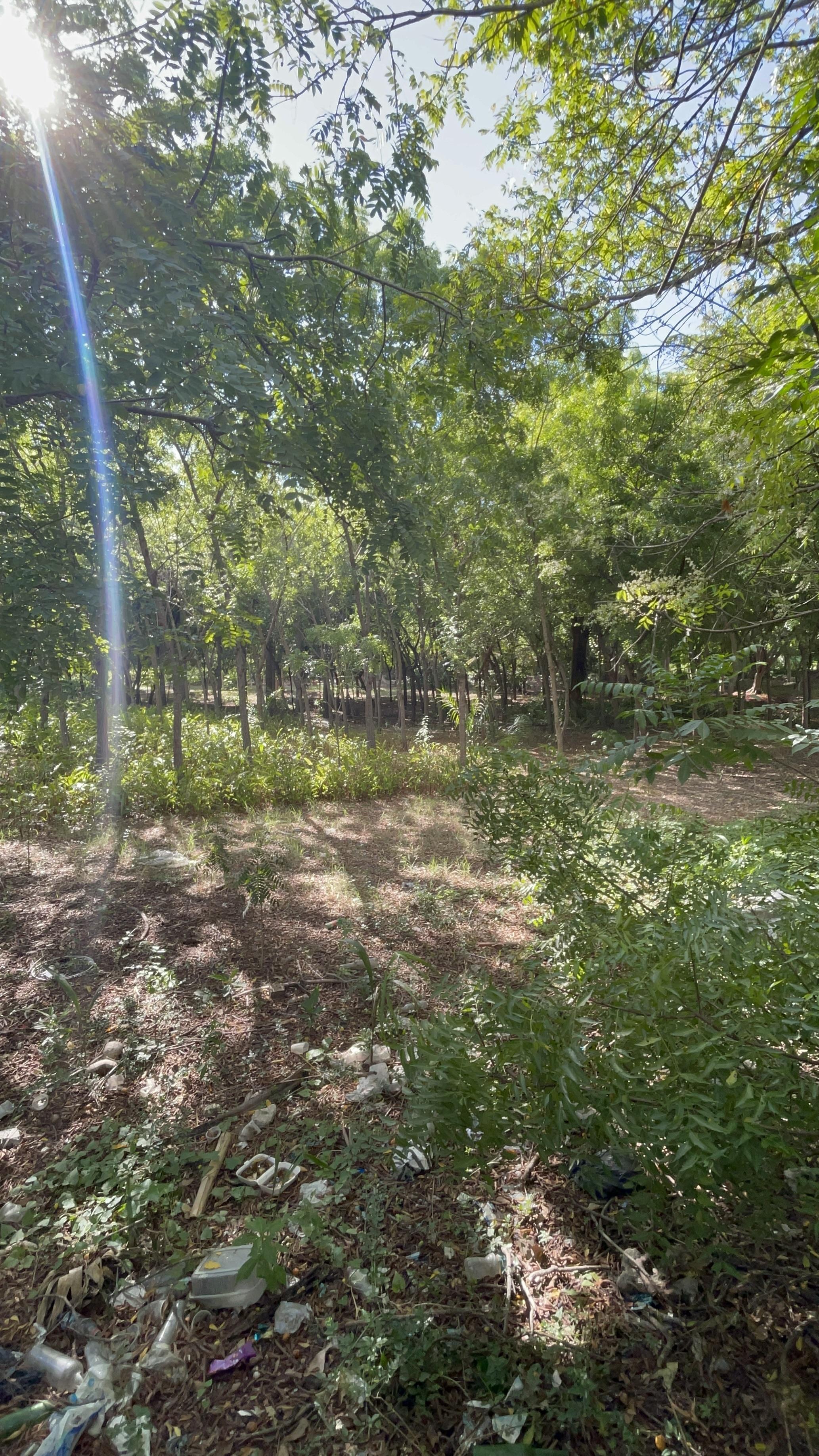 Vendo terreno de 110000 metros Nigua  Foto 7288721-6.jpg