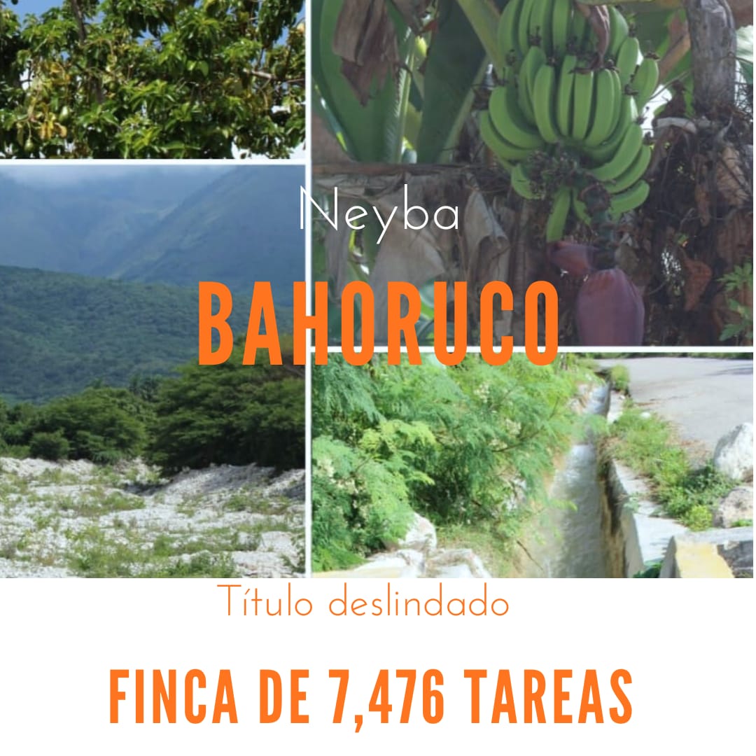 Finca de 7476 tareas  agrícolas en  Neyba Baohoruco Foto 7290192-1.jpg