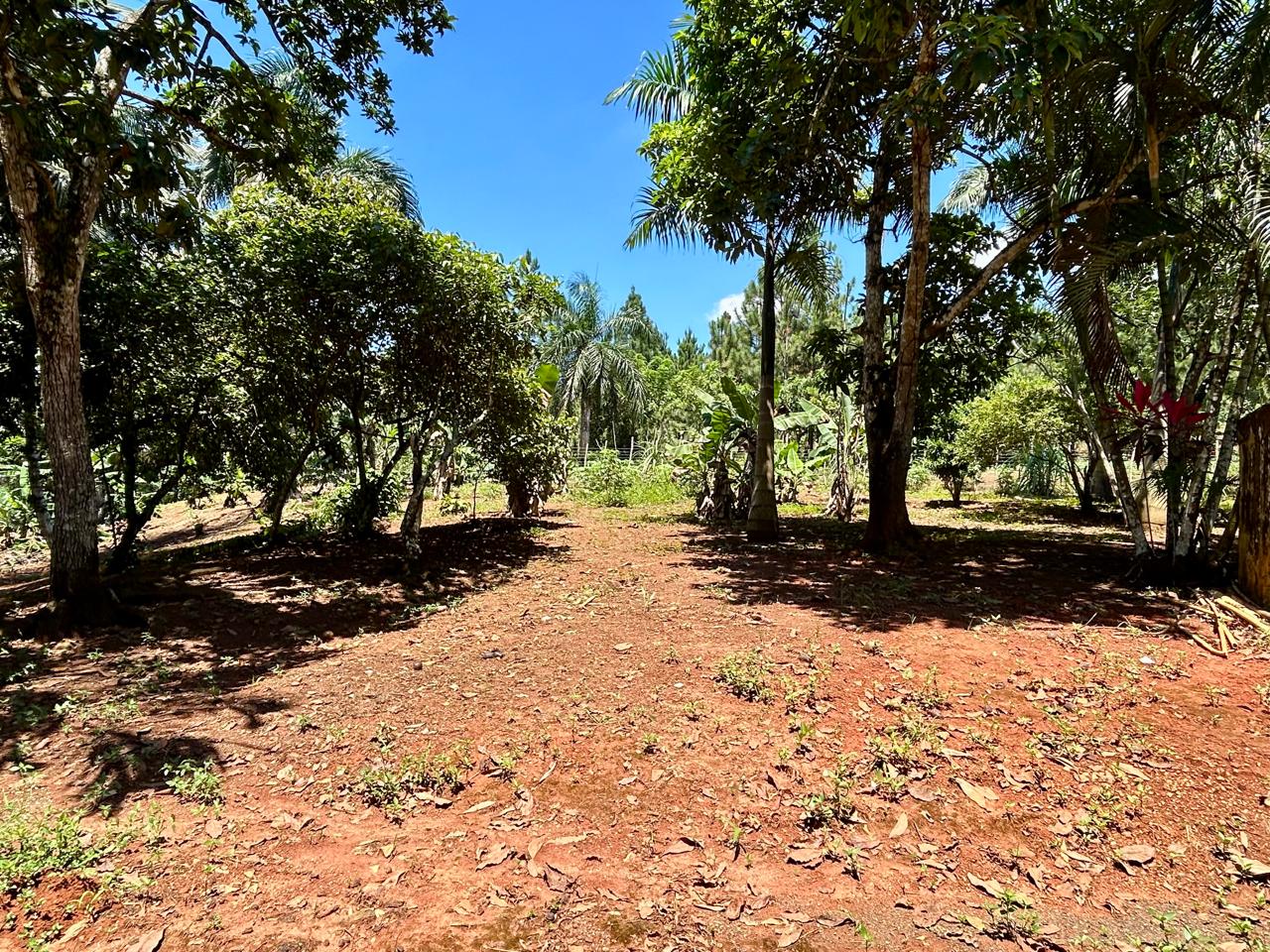Vendo terreno de 3322 Mts2 con Casa campestre y piscina ideal para cua Foto 7290194-3.jpg