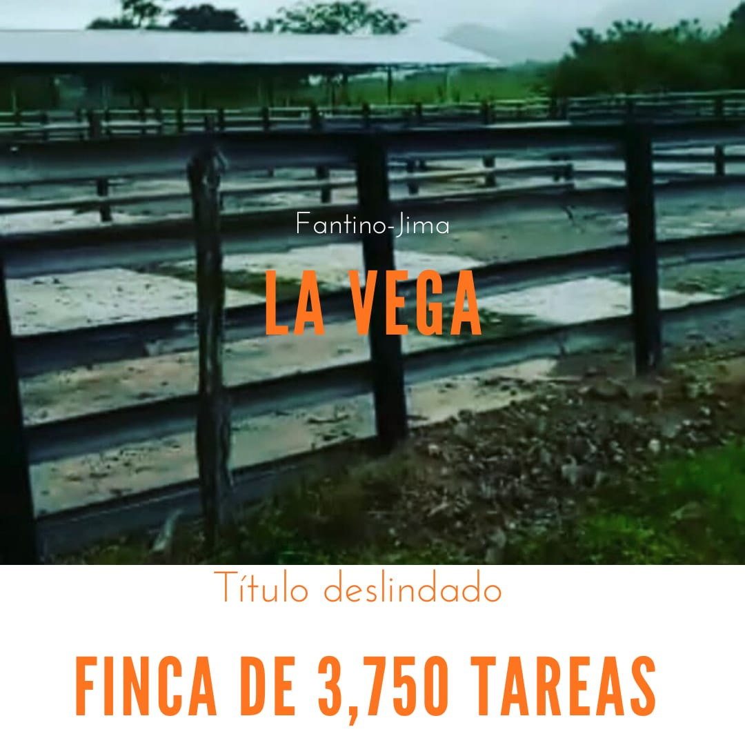 Finca de 3750 tareas ganaderas totalmente equipadas en  La vaga Foto 7290197-1.jpg