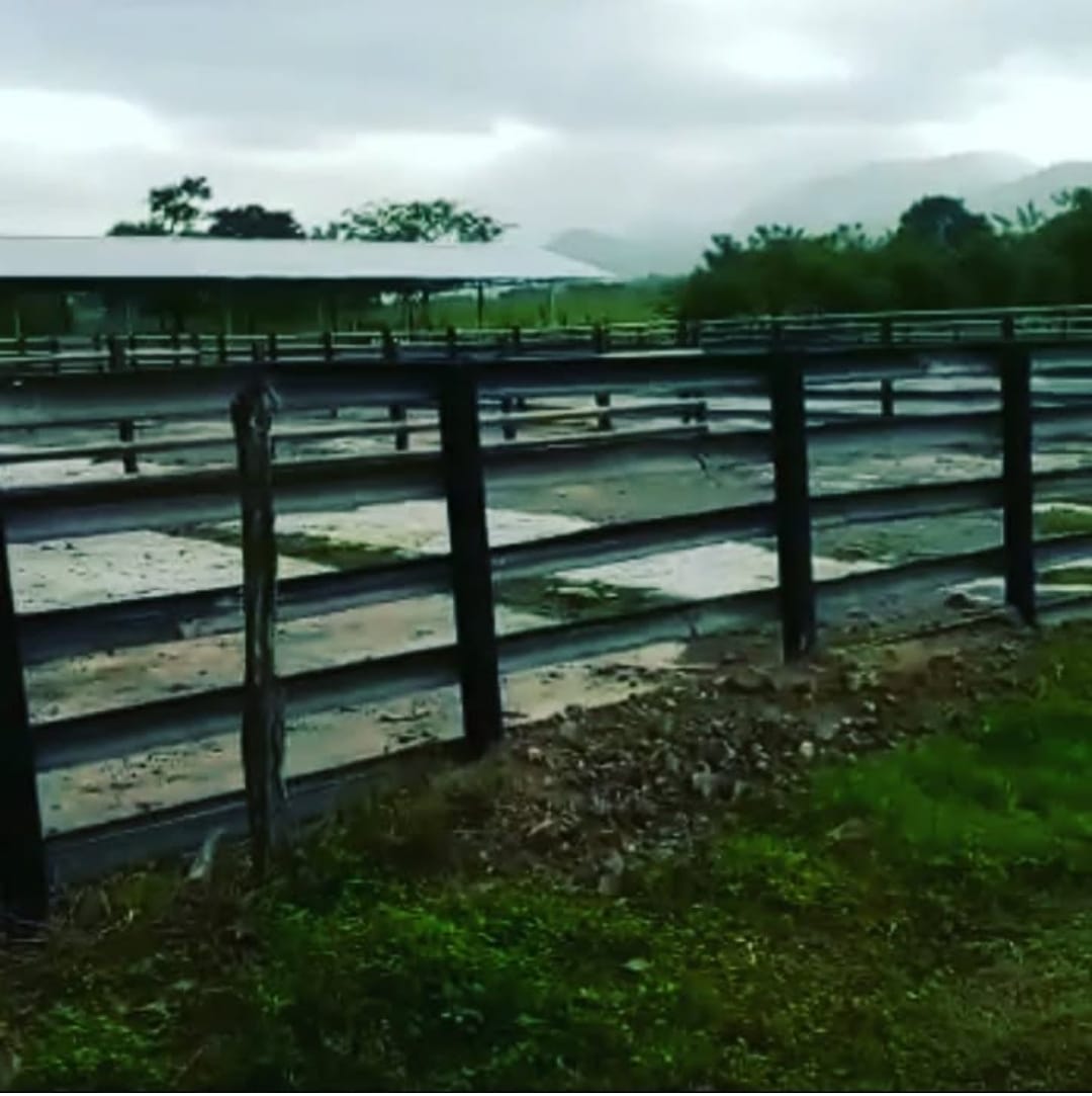 Finca de 3750 tareas ganaderas totalmente equipadas en  La vaga Foto 7290197-2.jpg