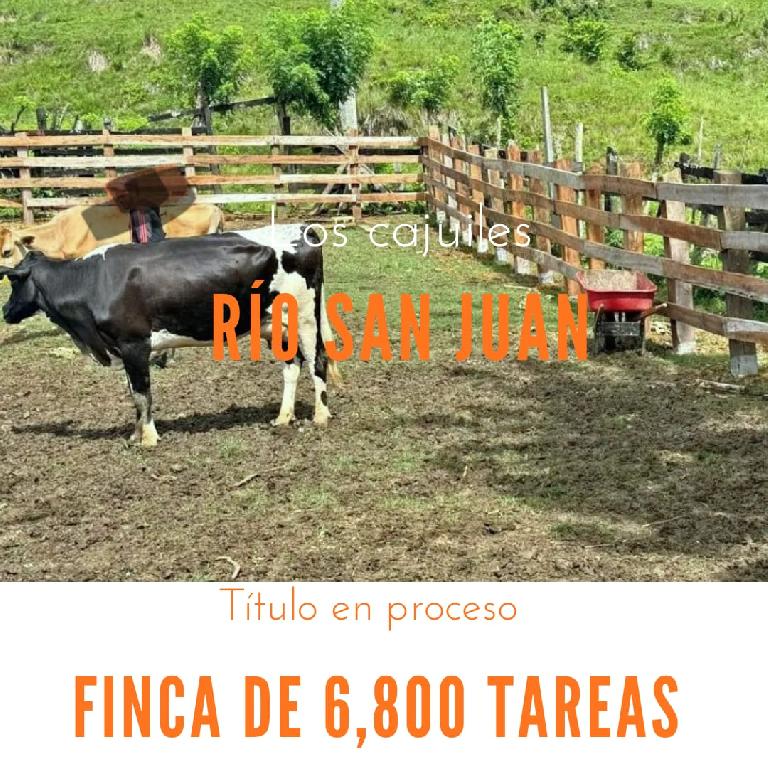 Finca de 6800 tareas con vocación Agrícola y Ganadera en Río San Juan Foto 7290198-1.jpg