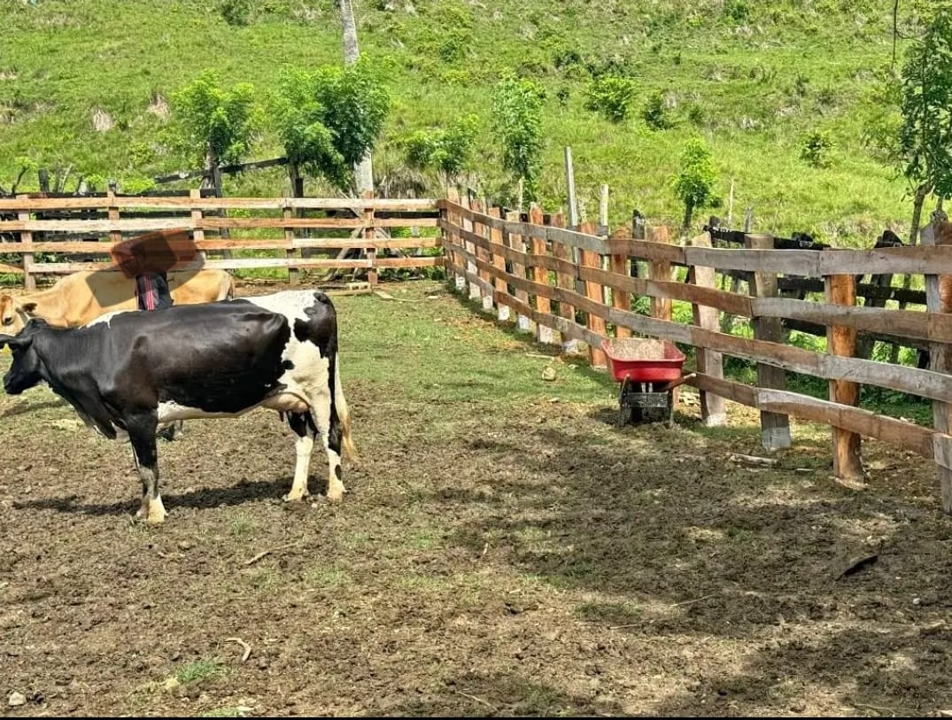 Finca de 6800 tareas con vocación Agrícola y Ganadera en Río San Juan Foto 7290198-2.jpg