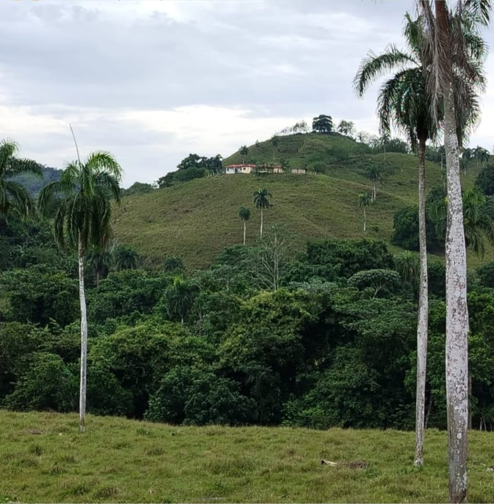 Finca de 6800 tareas con vocación Agrícola y Ganadera en Río San Juan Foto 7290198-4.jpg