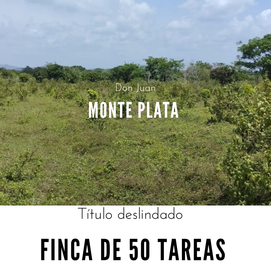 Finca de 50 tareas con vocación agrícola ideal para su casa campestre  Foto 7290204-1.jpg