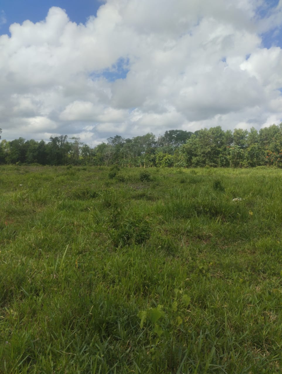 Finca de 53 TAREAS con vocación agrícola y ganadera en Monte Plata Foto 7290206-2.jpg
