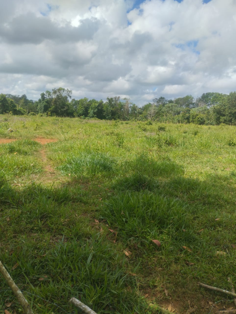 Finca de 53 TAREAS con vocación agrícola y ganadera en Monte Plata Foto 7290206-4.jpg