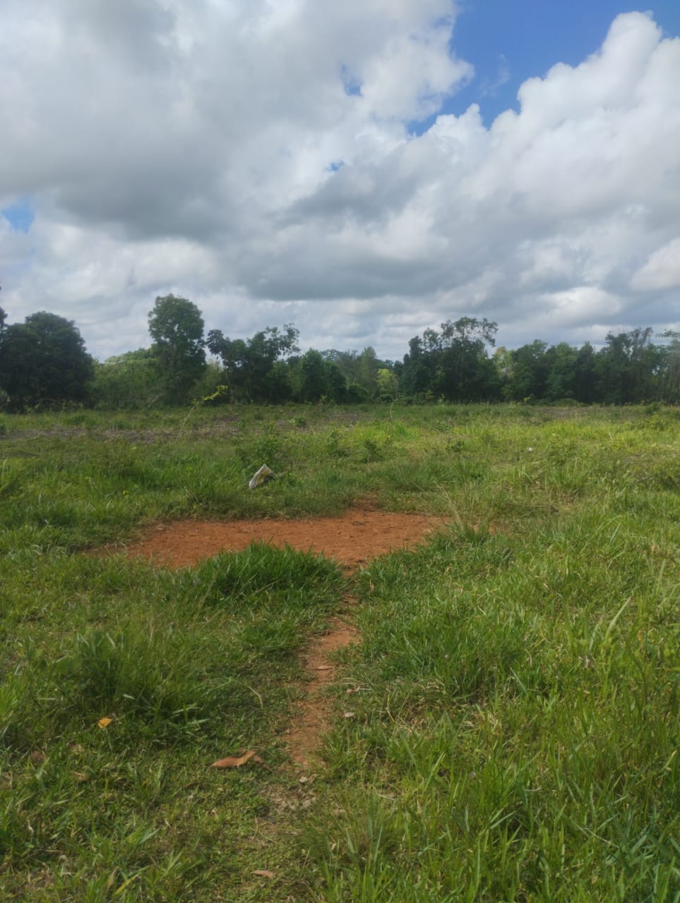 Finca de 53 TAREAS con vocación agrícola y ganadera en Monte Plata Foto 7290206-6.jpg