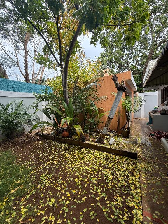 Casa en Venta en el Sector Cansino Foto 7290262-5.jpg