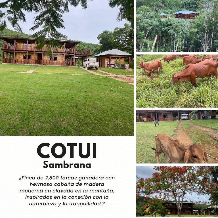 Excelente finca de 2800 tareas totalmente ganaderas incluida 170 cabez Foto 7290471-1.jpg