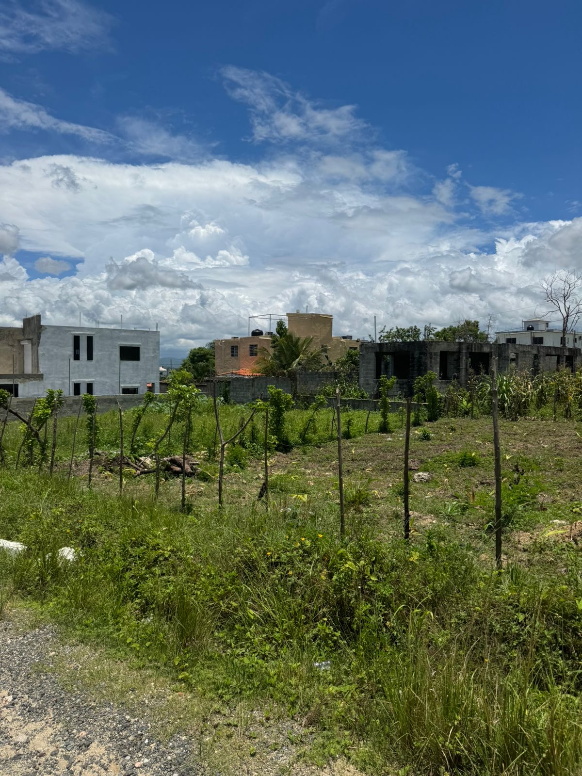 Terreno para inversión en zona en crecimiento  Foto 7291139-2.jpg