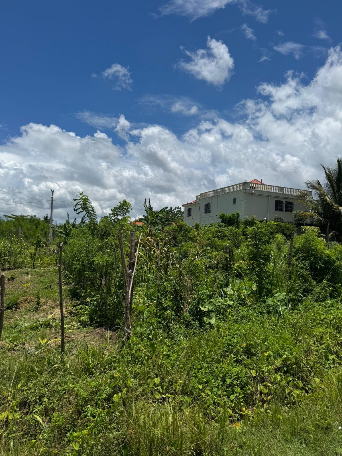 Terreno para inversión en zona en crecimiento  Foto 7291139-4.jpg