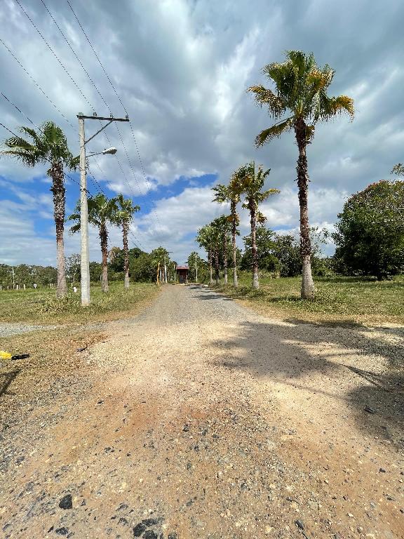 ALQUIER TERRENO -KM 25 CARRETERA VIEJA-VILLA MELLA Foto 7291780-3.jpg