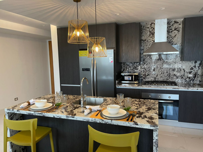 Apartamento en Alquiler en Piantini de 1 Habitacion Foto 7292437-3.jpg