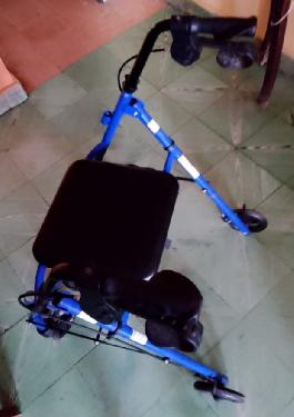 Andador de adulto en Santo Domingo DN Foto 7293001-1.jpg